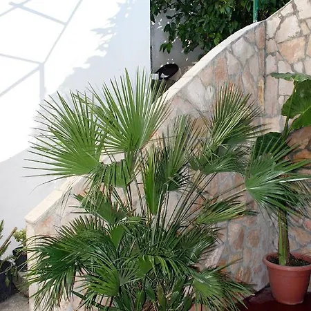 公寓 By The Sea Drasnice, Makarska - 6051 德朗西斯